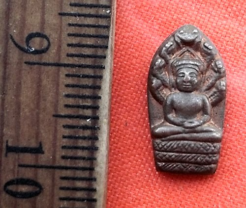 เริ่ม 10 บาท กับ  เหรียญนาคปรกจิ๋ว วัดไทรงาม จ.ฉะเชิงเทรา   ..DW861