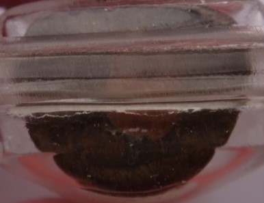 กริ่งมหาเศรษฐี หายาก หลวงพ่อเณร วัดทุ่งเศรษฐี เสาร์5 เงินมาห้าพันล้าน หลวงปู่หมุนเสก เคาะเดียว