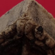 ขุนแผนวัดหลักเมือง ปี41 หลวงปู่หมุนร่วมเสก เกษาเพียบ เคาะเดียว