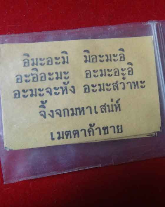 จิ้งจกสองหาง กะลาตาเดียว หลวงพ่อเณร วัดทุ่งเศรษฐี
