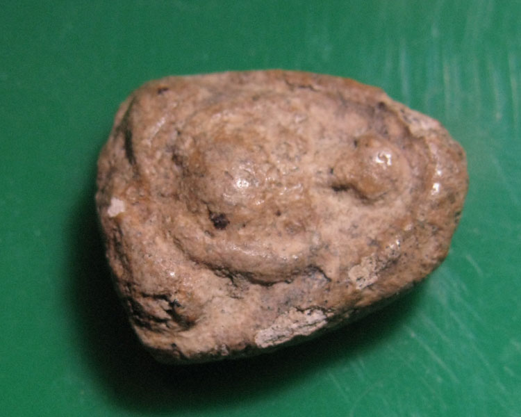 พระเนื้อผงน้ำมัน กรุวัดอัมพวา พิมพ์พระสังกัจจายน์