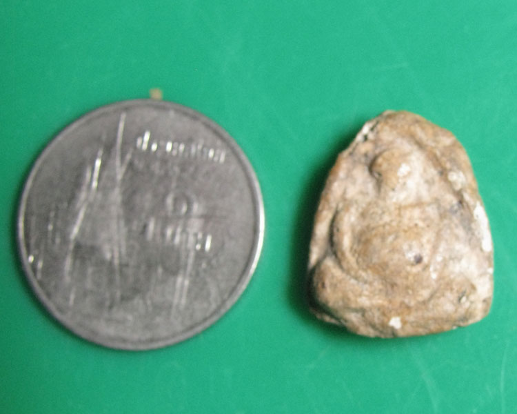 พระเนื้อผงน้ำมัน กรุวัดอัมพวา พิมพ์พระสังกัจจายน์