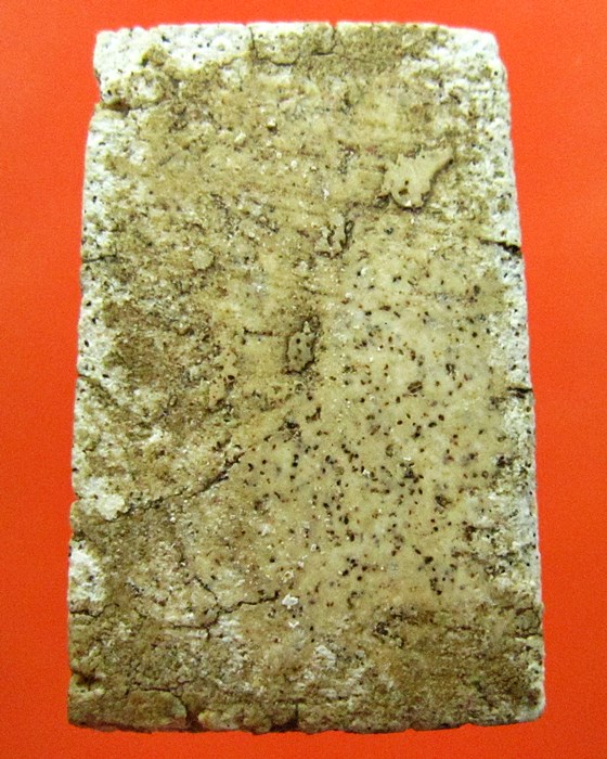 สมเด็จหลวงปู่นาค เทวดาอกตัน