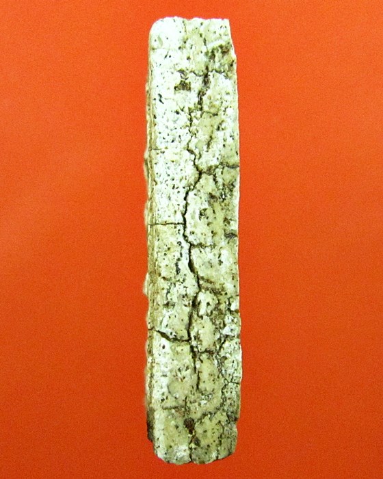 สมเด็จหลวงปู่นาค เทวดาอกตัน