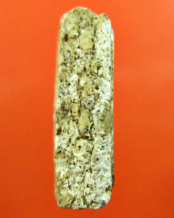 สมเด็จหลวงปู่นาค เทวดาอกตัน