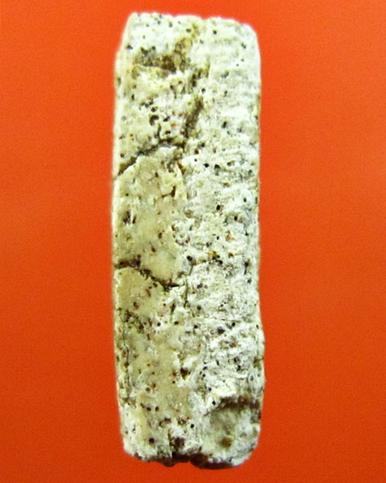 สมเด็จหลวงปู่นาค เทวดาอกตัน