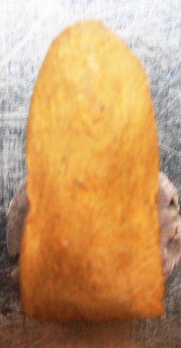 พระรอดก้นเลข๕วัดชัยพระเกียตริ สวยๆครับ