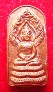 พระนาคปรก เจ้าสัว หลวงพ่อสวัสดิ์ วัดเม้าสุขา หลังยันต์พระเจ้าห้าพระองค์