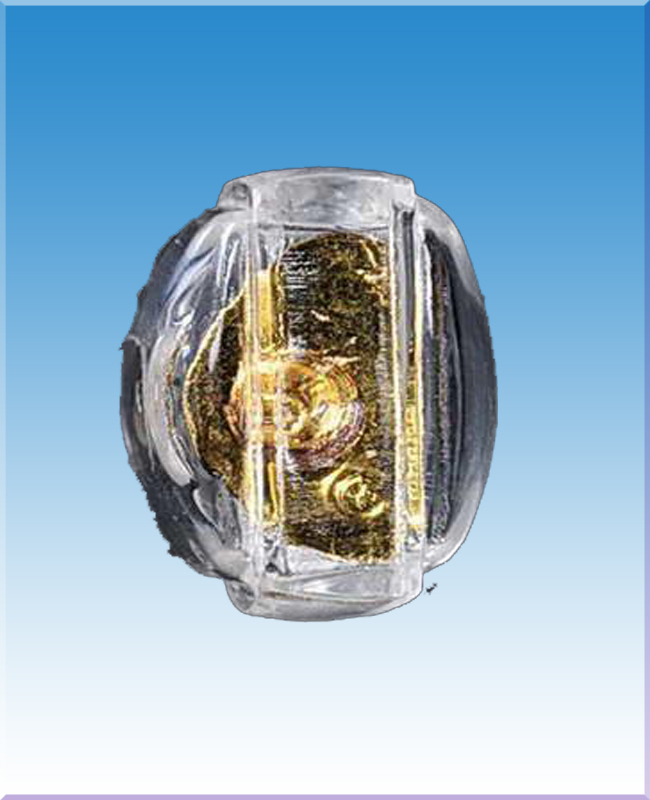 กริ่งประธานอภัยวัดป่าประดู่ระยองเนื้อกระไหล่ทองปี34