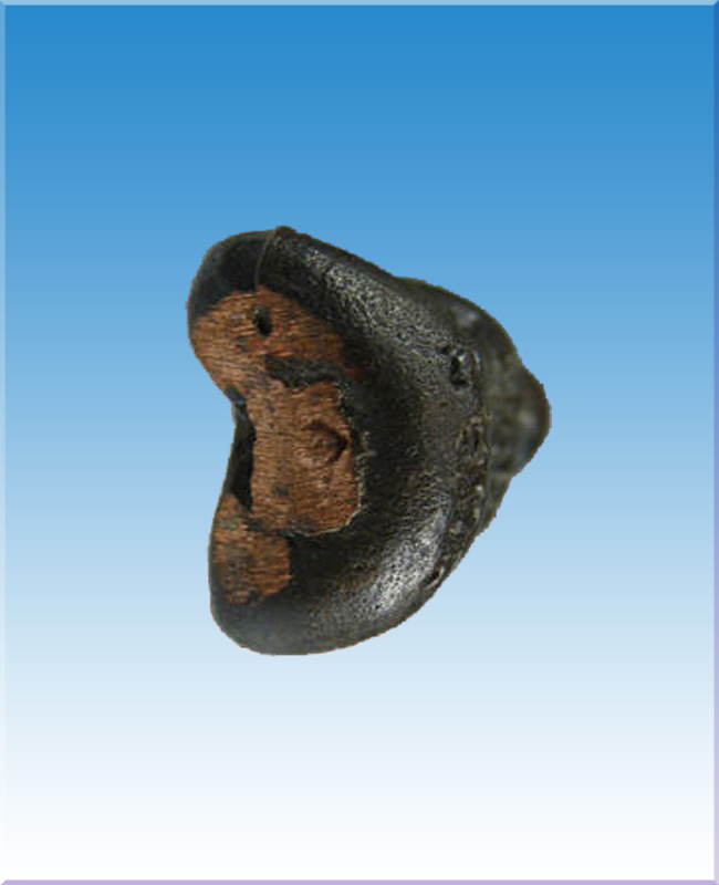 ปิดตาหลวงพ่อสาครเนื้อนวะพิมพ์เล็ก