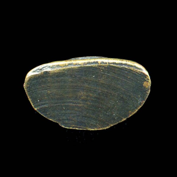 ถูกสุด สะดุดใจ...พระกริ่งหลวงพ่อโสธร วัดโสธรฯ จ.ฉะเชิงเทรา ปี 2508 พิมพ์หน้าเล็ก เนื้อทองเหลืองรมดำ