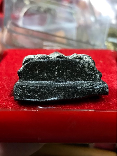 หลวงปู่ทวด วัดช้างให้ จัมโบ้ ปี 2537