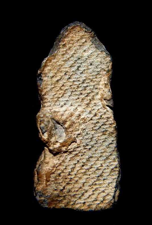 พระนาคปรก กรุวัดพระศรีรัตนมหาธาตุ พิมพ์เล็ก ลพบุรี