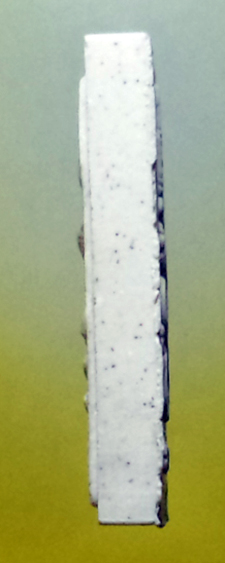 หลวงพ่อสาคร มนุญโญ วัดหนองกรับ อ.บ้านค่าย จ.ระยอง (ศิษย์เอกหลวงปู่ทิม)