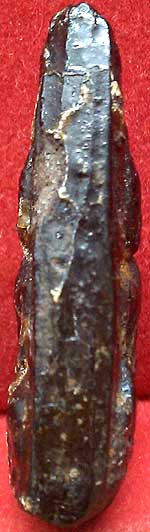 *พุทธชินราช สองหน้า เนื้อใบลานเผา*