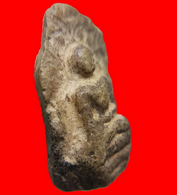 พระคงเขียวคราบเหลือง คลาสสิคล่ำหนาตามภาพ พระแท้เก้คืนเต็ม