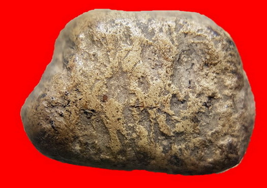 พระคงเขียวคราบเหลือง คลาสสิคล่ำหนาตามภาพ พระแท้เก้คืนเต็ม