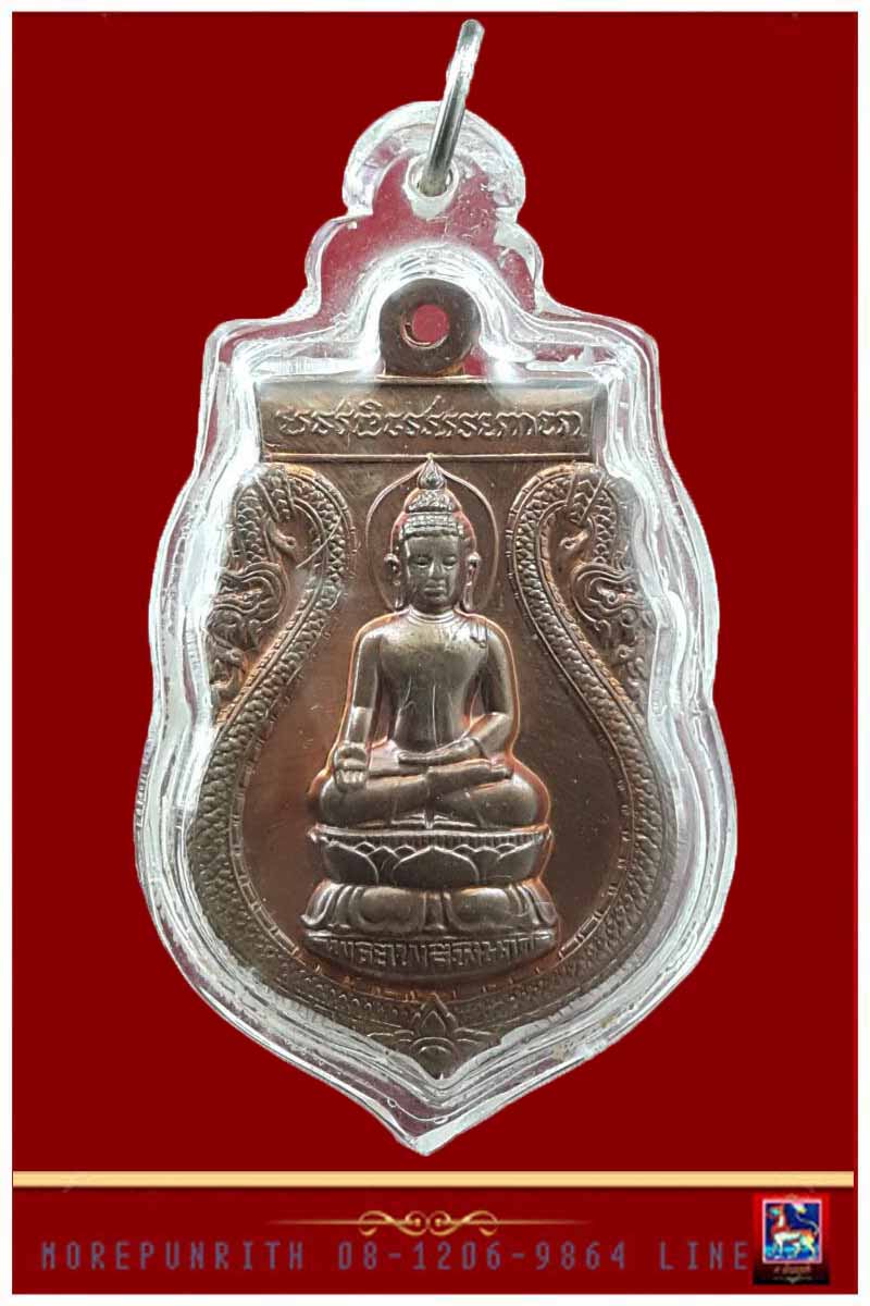 เหรียญพระไพรีพินาศ ด้านหลัง ภปร วัดบวรนิเวศวิหาร พ.ศ.๒๕๔๙