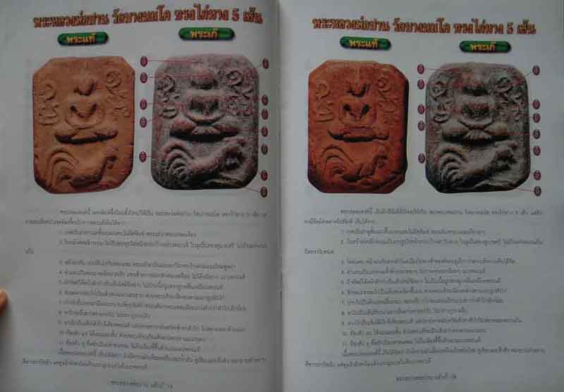 หนังสือรู้เท่าทันพระเครื่องหลวงพ่อปาน วัดบางนมโค เทพระเจ้าแห่งโชคลาภและสุขภาพดี