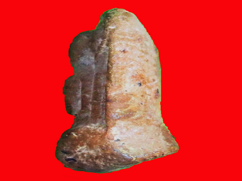 พระรอดกรุวัดหัวข่วง เชียงใหม่