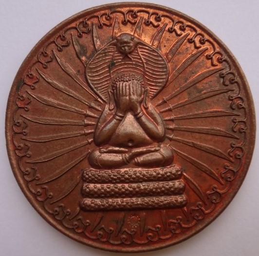 เหรียญปิดตาพังพกาฬ วัดมะม่วงขาว ปี46 เคาะเดียว300