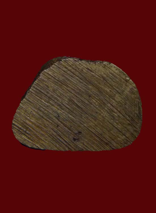 รูปหล่อหลวงพ่อเขียน หอเตี๊ยะ