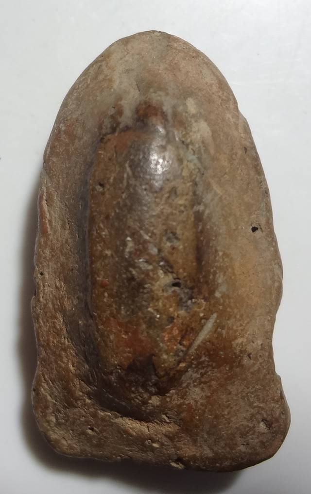  พระร่วงเนื้อดินตามภาพครับ