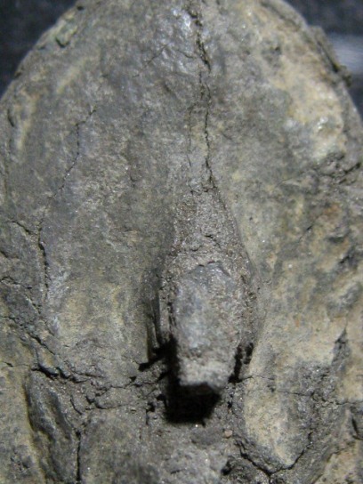 พระนารายณ์ เนื้อชินเงิน จ.ลพบุรี