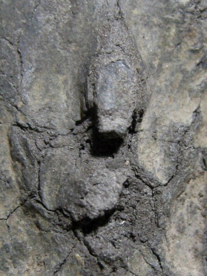 พระนารายณ์ เนื้อชินเงิน จ.ลพบุรี