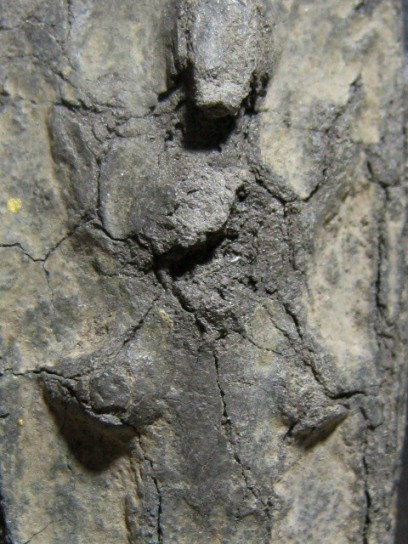 พระนารายณ์ เนื้อชินเงิน จ.ลพบุรี