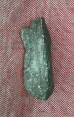 เนื้อว่าน 2497  วัดช้างให้