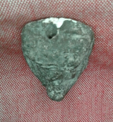 เนื้อว่าน 2497  วัดช้างให้