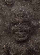 หลวงปู่ทวด รุ่นกองทุน ปี35 วัดช้างให้ เคาะเดียว250