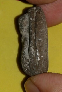 พระเนื้อว่าน  พิมพ์ต้อ 2497  วัดช้างให้