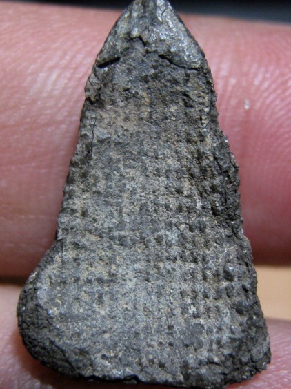 พระเชตุพน เนื้อชินเงิน จ.กำแพงเพชร