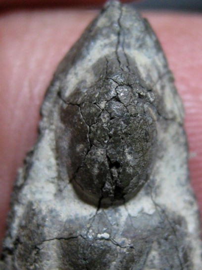 พระเชตุพน เนื้อชินเงิน จ.กำแพงเพชร