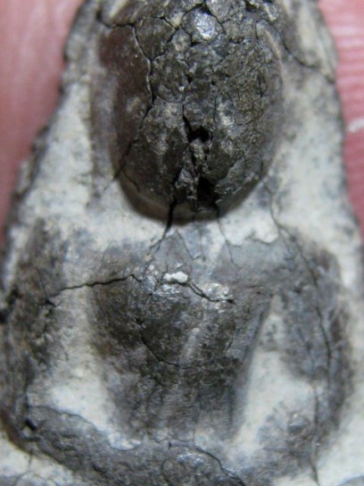 พระเชตุพน เนื้อชินเงิน จ.กำแพงเพชร