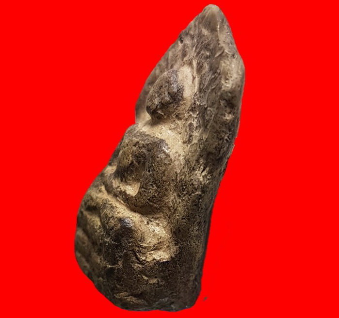 พระคงเขียวคราบเหลือง คลาสสิคล่ำหนาตามภาพ พระแท้เก้คืนเต็ม