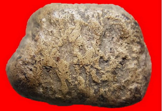 พระคงเขียวคราบเหลือง คลาสสิคล่ำหนาตามภาพ พระแท้เก้คืนเต็ม