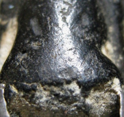 พระรอด เนื้อดิน กรุวัดป่ากล้วย จ.ลำปาง