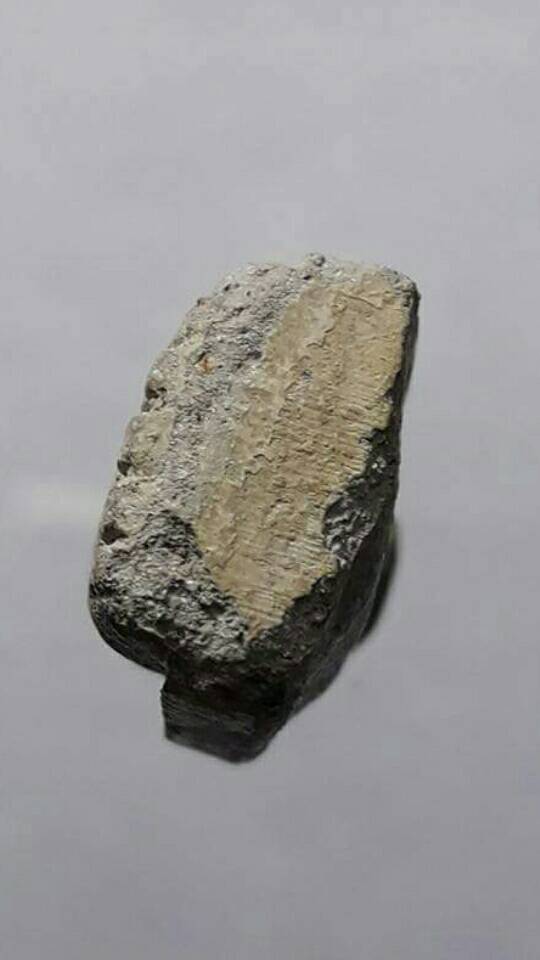 หลวงปู่ทวดหลวงปู่หมุน รุ่นพระเจ้าห้าพระองค์ ปี 2542 เนื้อเทา แข้งขีดนิยมครับ