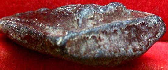 *พระกรุวัดชนะสงคราม พิมพ์ปรกโพธิ์เล็บช้าง*