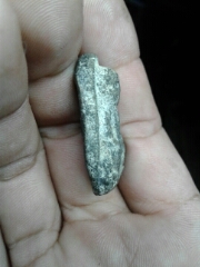 พระเนื้อว่าน 2497   วัดช้างให้