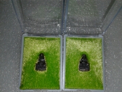 พระกริ่ง ปี 37 วัดช้างให้( จำนวน 2 องค์)