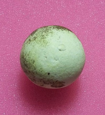 ลูกอมหลวงปู่ทิม  **ผ่านงานประกวด**