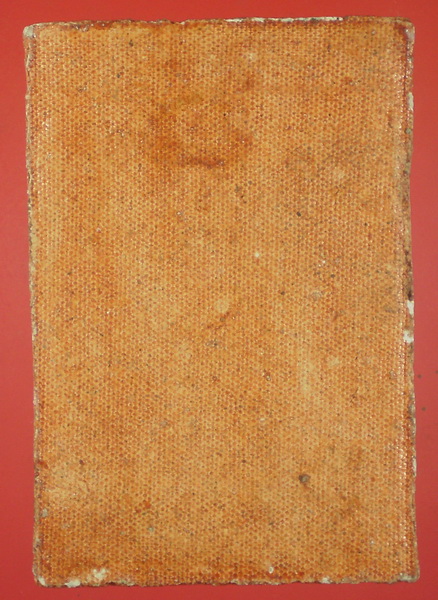 พระสมเด็จปรกโพธิ์ หลวงปู่ทิมเสก วัดไผ่ล้อมครับ