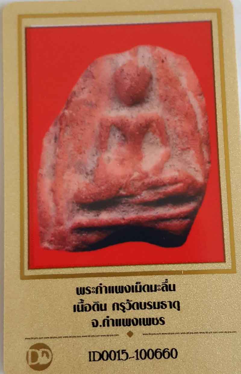 พระกำแพงเม็ดมะลื่น กรุบรมธาตุ จ.กำแพงเพชร+ใบรับรอง