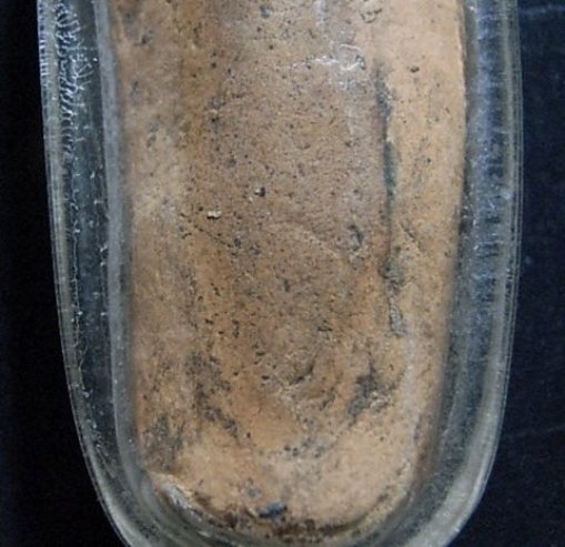 พระลีลาลิ้นเป็ด เนื้อดิน กรุวัดม่วง จ.สุพรรณบุรี มาพร้อมบัตรรับรองความแท้