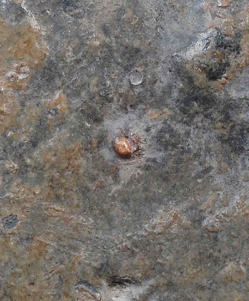 พระขุนแผนห้าเหลี่ยม กรุ วัดเทวะสังฆาราม เนื้อ ตะกั่วสนิมแดง จ.กาญจบุรี+ใบรับรอง