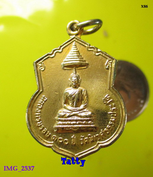 เหรียญ 100 ปี วัดนิเวศธรรมประวัติ บางปะอิน อยุธยา ปี2522